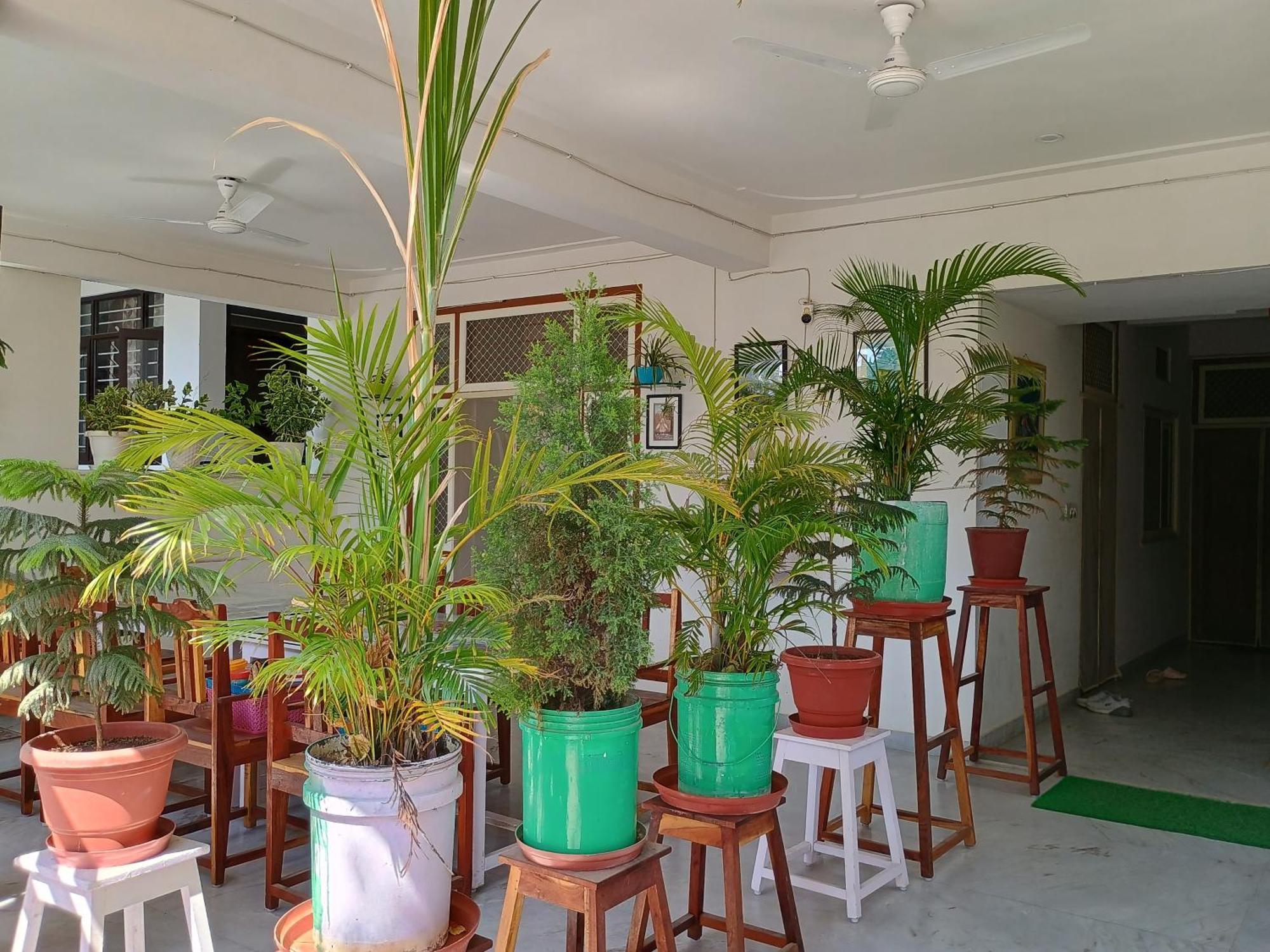 Choudhary White House Udaipur Apartment ภายนอก รูปภาพ