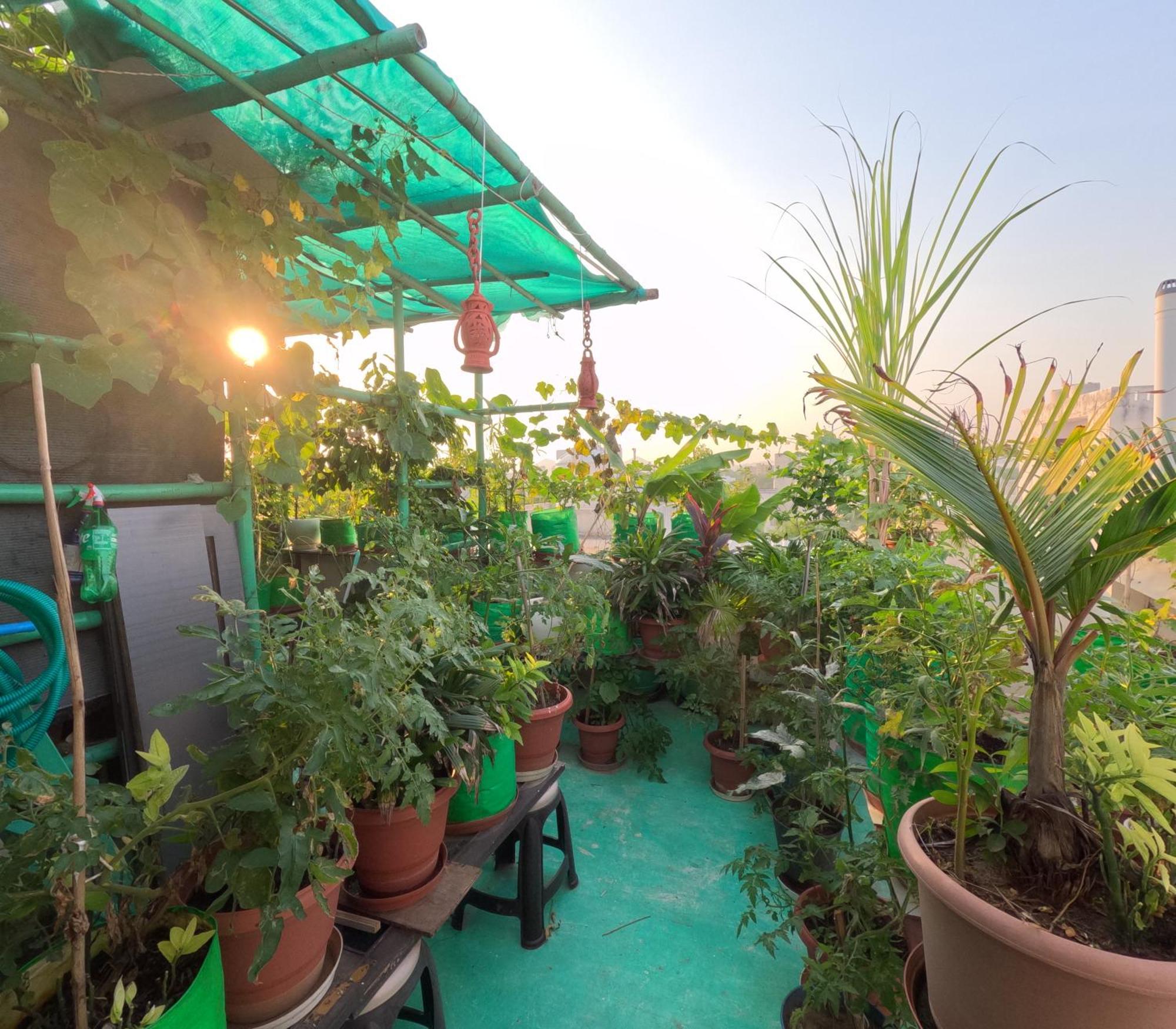 Choudhary White House Udaipur Apartment ภายนอก รูปภาพ